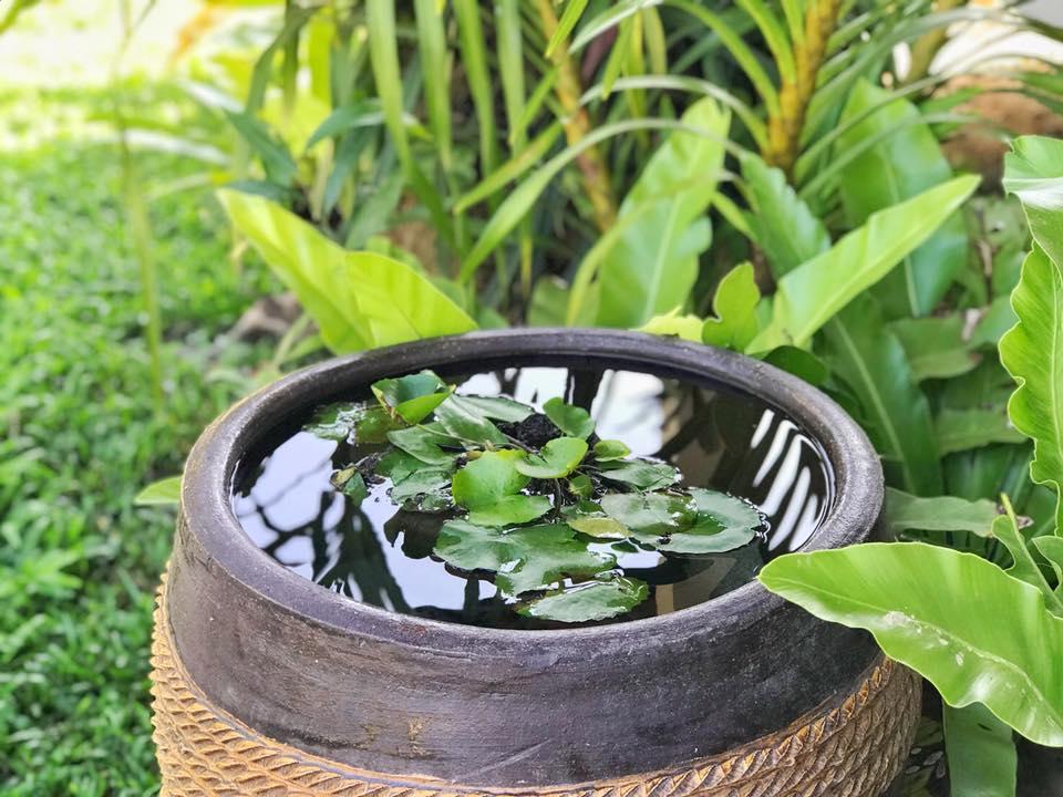 Verona Lanta Resort Ko Lanta Esterno foto